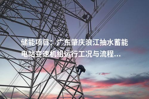 儲能項目：廣東肇慶浪江抽水蓄能電站變速機組運行工況與流程設(shè)計專題會議順利召開