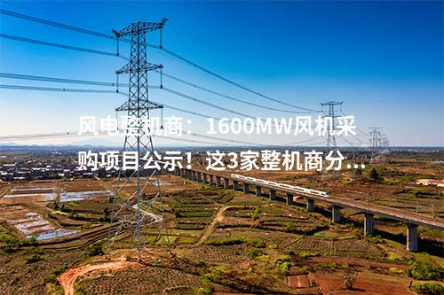 風(fēng)電整機(jī)商：1600MW風(fēng)機(jī)采購項(xiàng)目公示！這3家整機(jī)商分羹