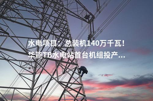 水電項(xiàng)目：總裝機(jī)140萬千瓦！華能TB水電站首臺(tái)機(jī)組投產(chǎn)發(fā)電
