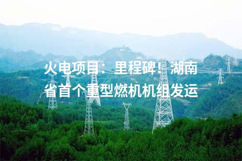 水電項(xiàng)目：總裝機(jī)1050MW！貴州烏江思林水電站順利通過工程竣工驗(yàn)收