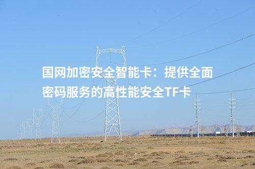 國(guó)網(wǎng)加密安全智能卡：提供全面密碼服務(wù)的高性能安全TF卡