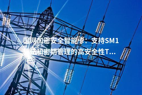 國網(wǎng)加密安全智能卡：支持個人數(shù)字身份證書存儲的安全TF卡