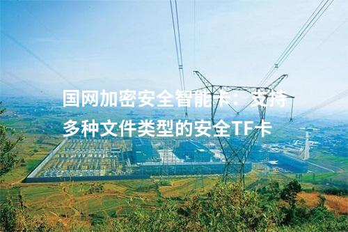 國網加密安全智能卡：提供高效數(shù)據(jù)加解密服務的高性能安全TF卡