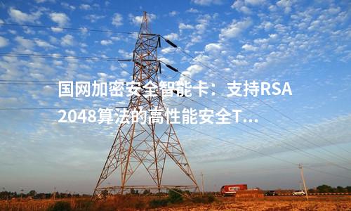 國網(wǎng)加密安全智能卡：支持RSA2048算法的高性能安全TF卡