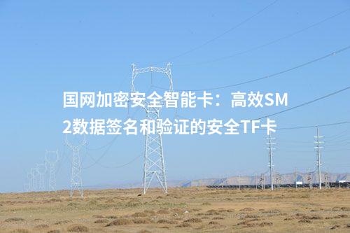國(guó)網(wǎng)加密安全智能卡：高效SM2數(shù)據(jù)簽名和驗(yàn)證的安全TF卡