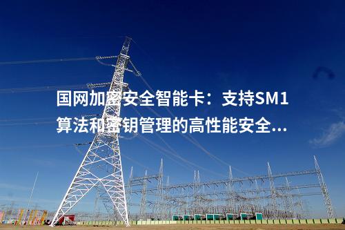 國網(wǎng)加密安全智能卡:支持SM1算法和密鑰管理的高性能安全TF卡