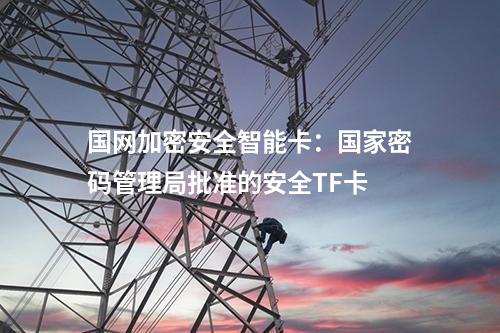 國(guó)網(wǎng)加密安全智能卡:國(guó)家密碼管理局批準(zhǔn)的安全TF卡