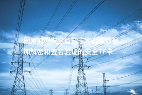 國網(wǎng)加密安全智能卡:高效數(shù)據(jù)加解密和簽名驗證的安全TF卡