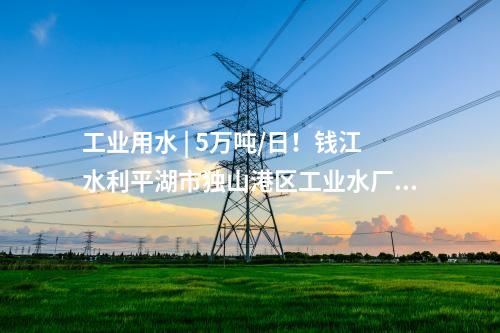 工業(yè)用水 | 5萬噸/日!錢江水利平湖市獨山港區(qū)工業(yè)水廠三期工程正式開工!
