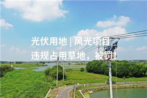 光伏用地 | 風(fēng)光項(xiàng)目違規(guī)占用草地，被罰！