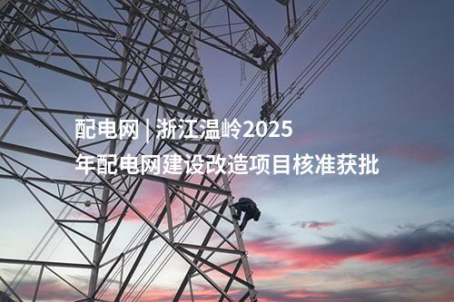 配電網(wǎng) | 浙江溫嶺2025年配電網(wǎng)建設(shè)改造項(xiàng)目核準(zhǔn)獲批
