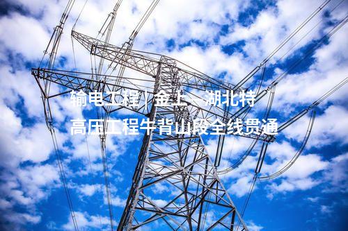 配電自動化 | 云南曲靖供電首個透明主動配網(wǎng)示范臺區(qū)投運