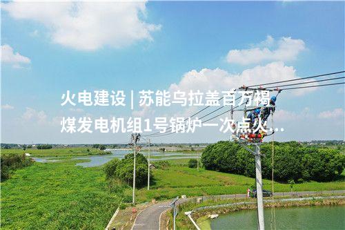 國家電投 | 國家電投遼寧丹東1000MW海上風(fēng)電項(xiàng)目開標(biāo)