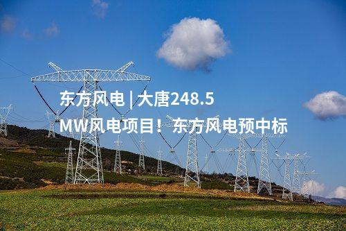東方風(fēng)電 | 大唐248.5MW風(fēng)電項(xiàng)目！東方風(fēng)電預(yù)中標(biāo)
