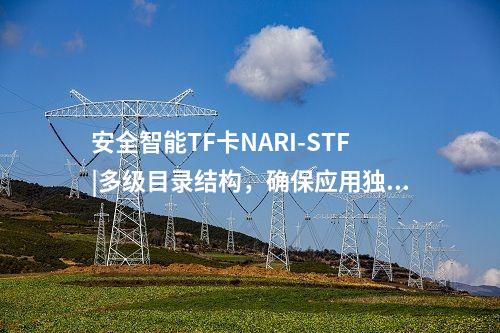安全智能TF卡NARI-STF|多級目錄結(jié)構(gòu)，確保應(yīng)用獨(dú)立性
