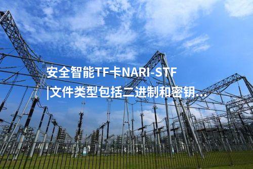 安全智能TF卡NARI-STF|NARI-STF:4GB安全智能TF卡