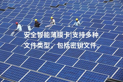 安全智能薄膜卡|安全智能薄膜卡支持?jǐn)?shù)字證書(shū)功能。