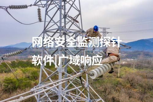 網(wǎng)絡(luò)安全監(jiān)測(cè)探針軟件|廣域響應(yīng)