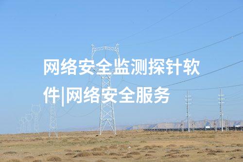 網(wǎng)絡(luò)安全監(jiān)測探針軟件|網(wǎng)絡(luò)安全服務(wù)