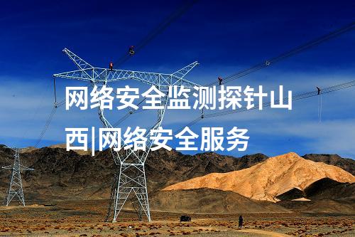 網(wǎng)絡(luò)安全監(jiān)測(cè)探針山西|網(wǎng)絡(luò)安全服務(wù)