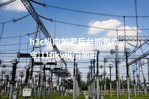 h3c縱向加密后臺(tái)抓包命令|110kv縱向加密