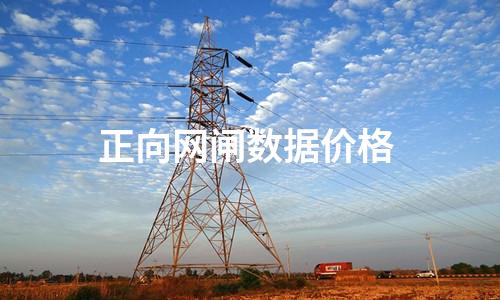 正向網(wǎng)閘多少錢 