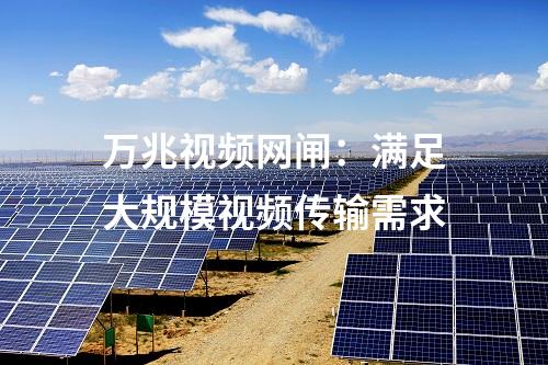 萬兆視頻網(wǎng)閘:滿足大規(guī)模視頻傳輸需求