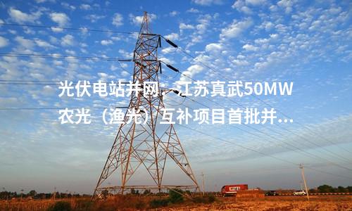 光伏電站并網(wǎng)：江蘇真武50MW農(nóng)光（漁光）互補(bǔ)項目首批并網(wǎng)